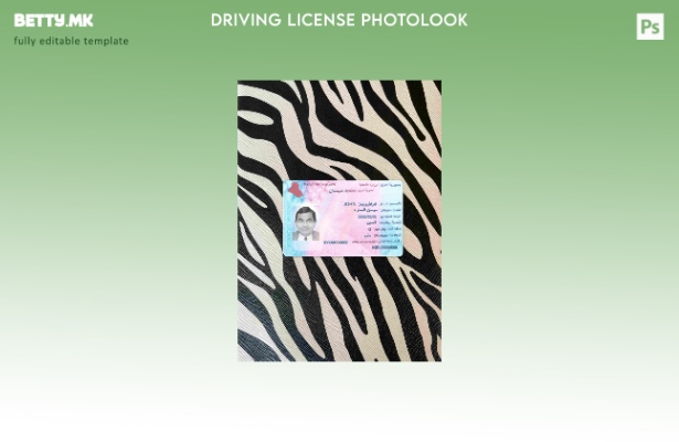 модерен стил Ирак возачка дозвола photolook ПРЕДЕН шаблон